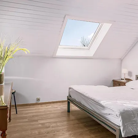 Rozenvilla V3 P * Oostduinkerke